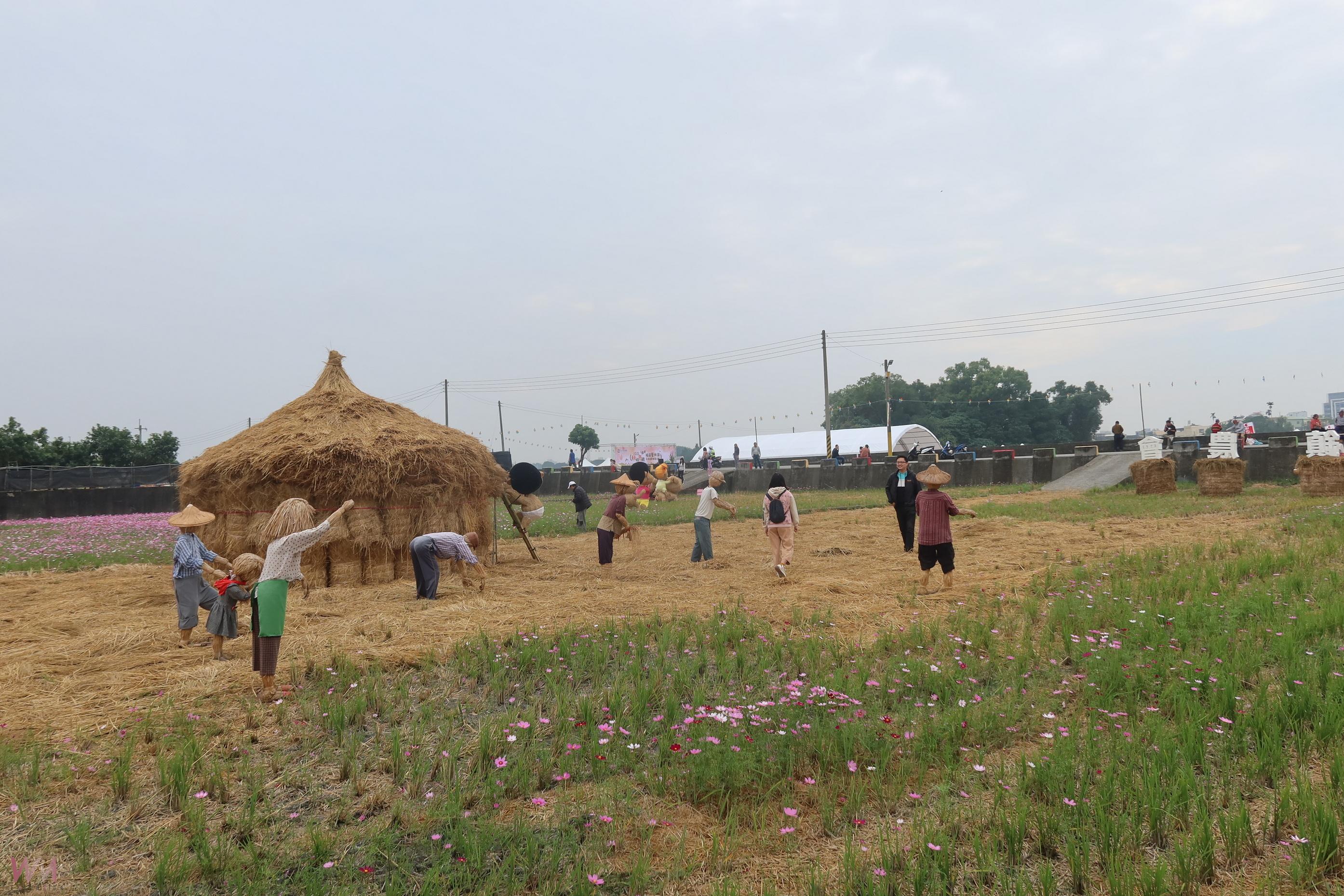 （有影片）／田中稻草藝術節　12公頃花海與稻草裝置吸引遊客