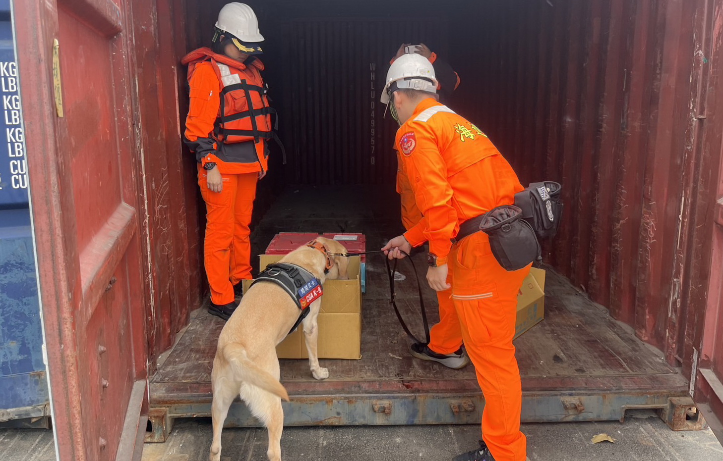 歲末不法蠢動 海巡署強化邊境食安防護網 - https://www.watchmedia01.com