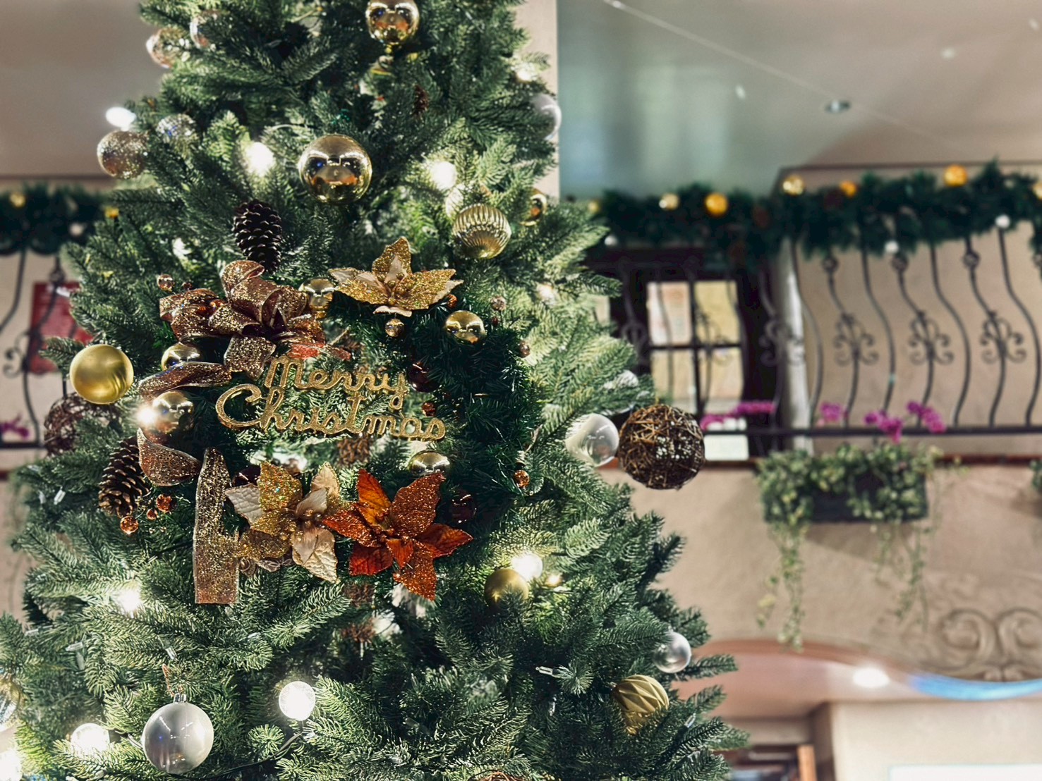 花東縱谷的冬季儀式 在理想大地過一個只屬於你的聖誕與跨年 - https://www.watchmedia01.com