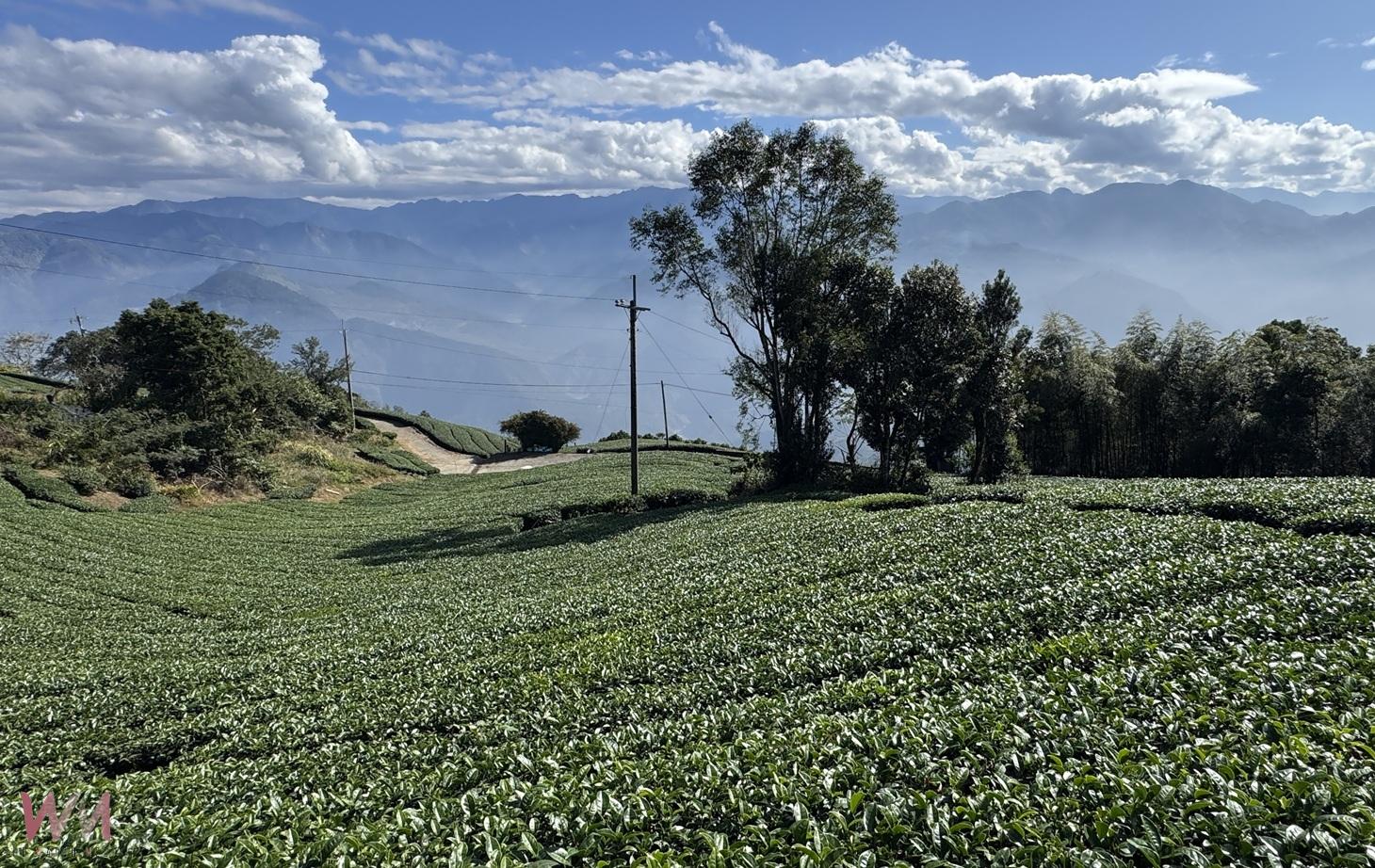 虎尾警移師二尖山會報　凝聚士氣迎戰跨年勤務 - https://www.watchmedia01.com
