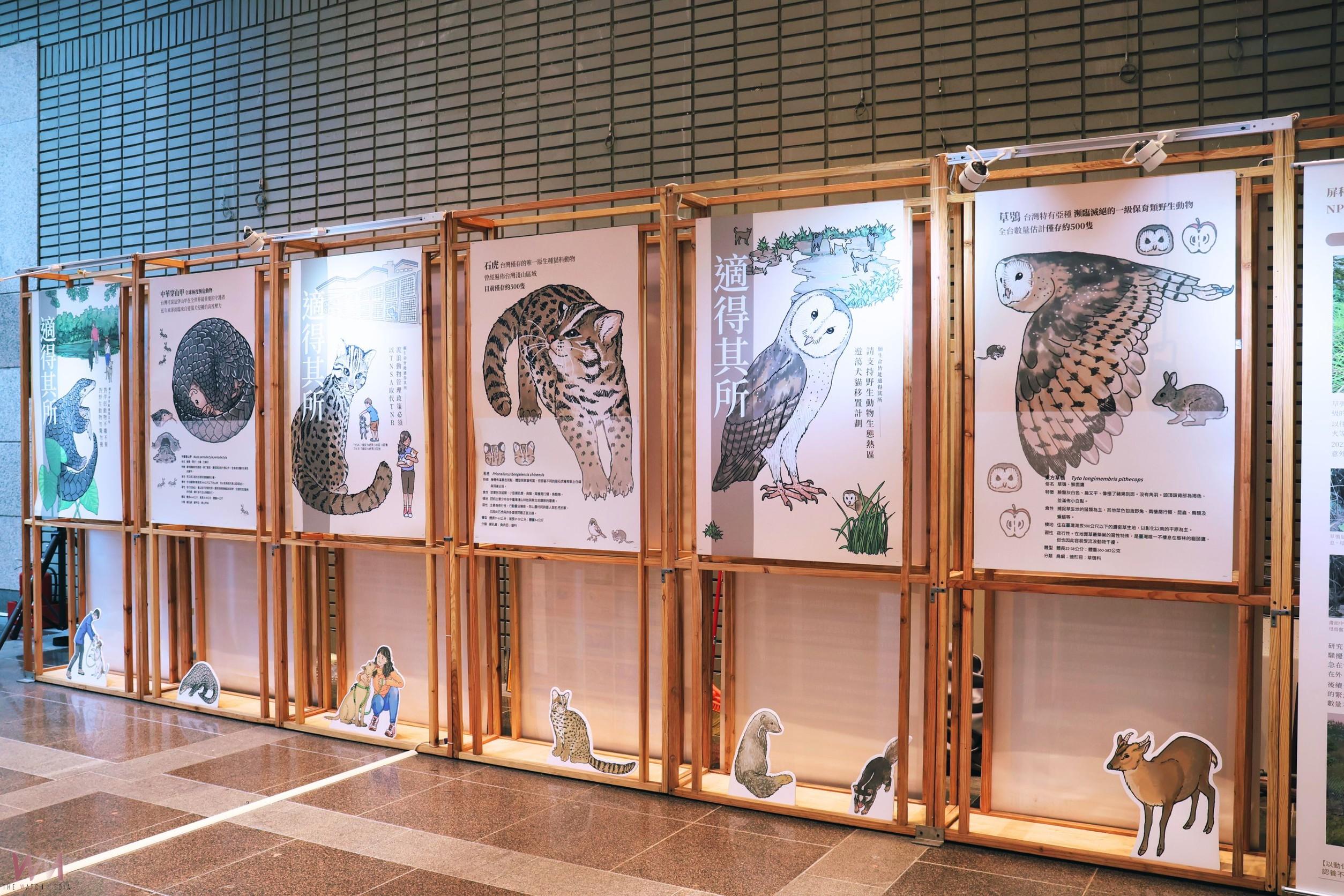 認養也能救野生動物 科博館攜手挺挺網絡推出《適得其所》巡迴展 - https://www.watchmedia01.com