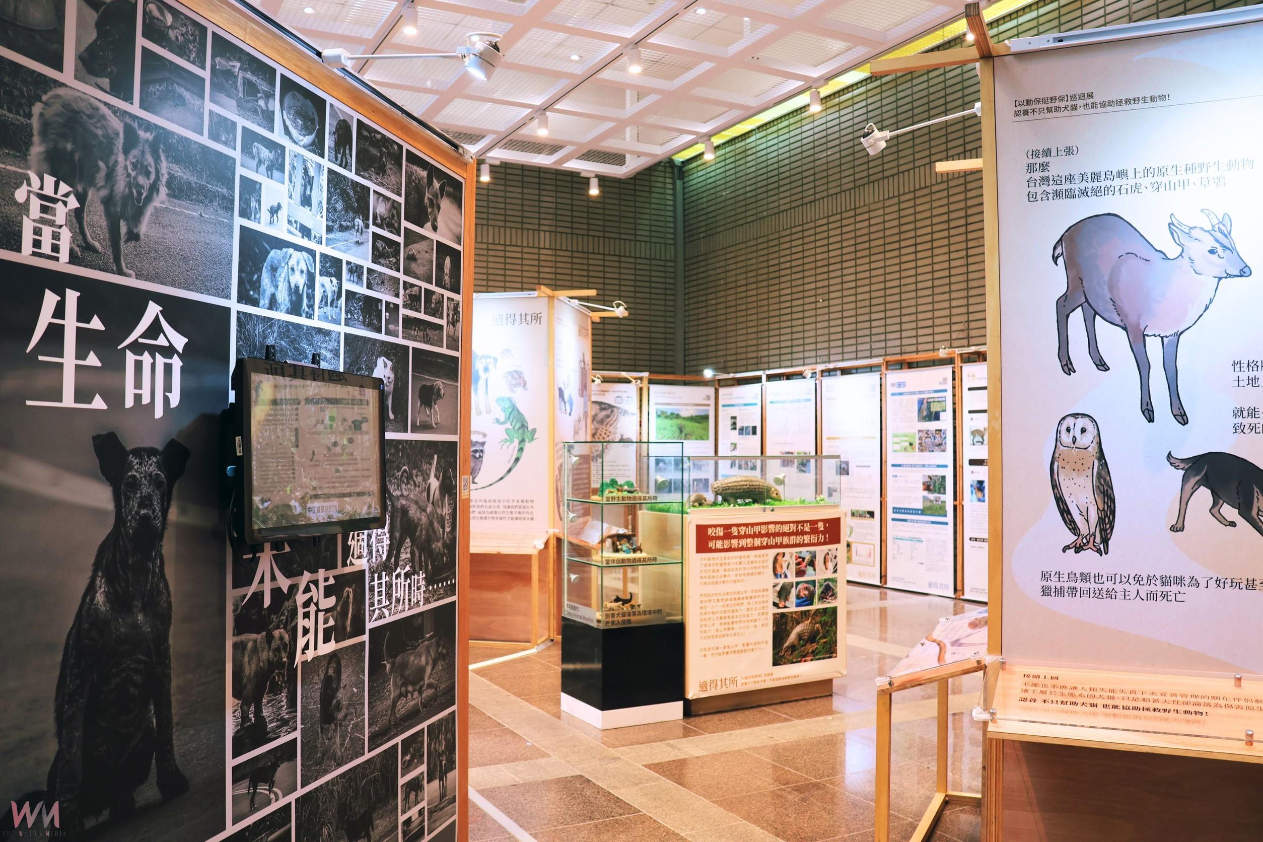 認養也能救野生動物 科博館攜手挺挺網絡推出《適得其所》巡迴展 - https://www.watchmedia01.com