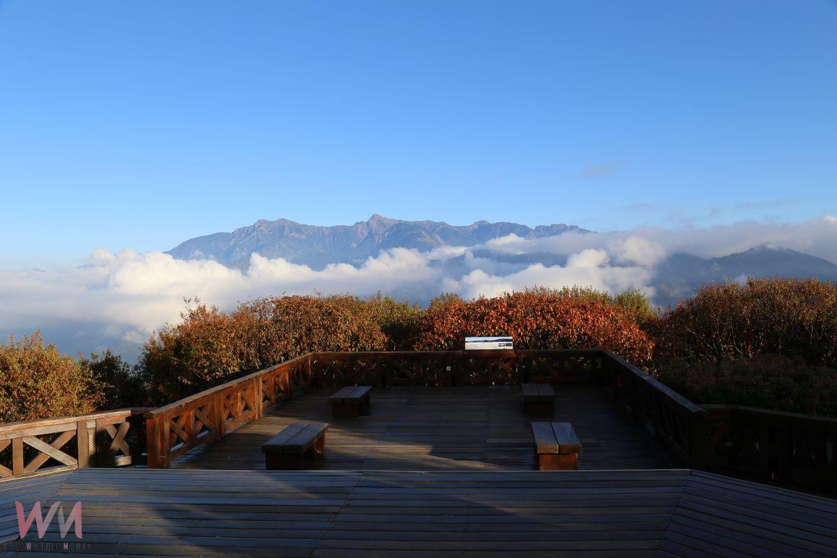 結合森林鐵道與櫻花美景 阿里山賓館推春節住宿優惠 - https://www.watchmedia01.com