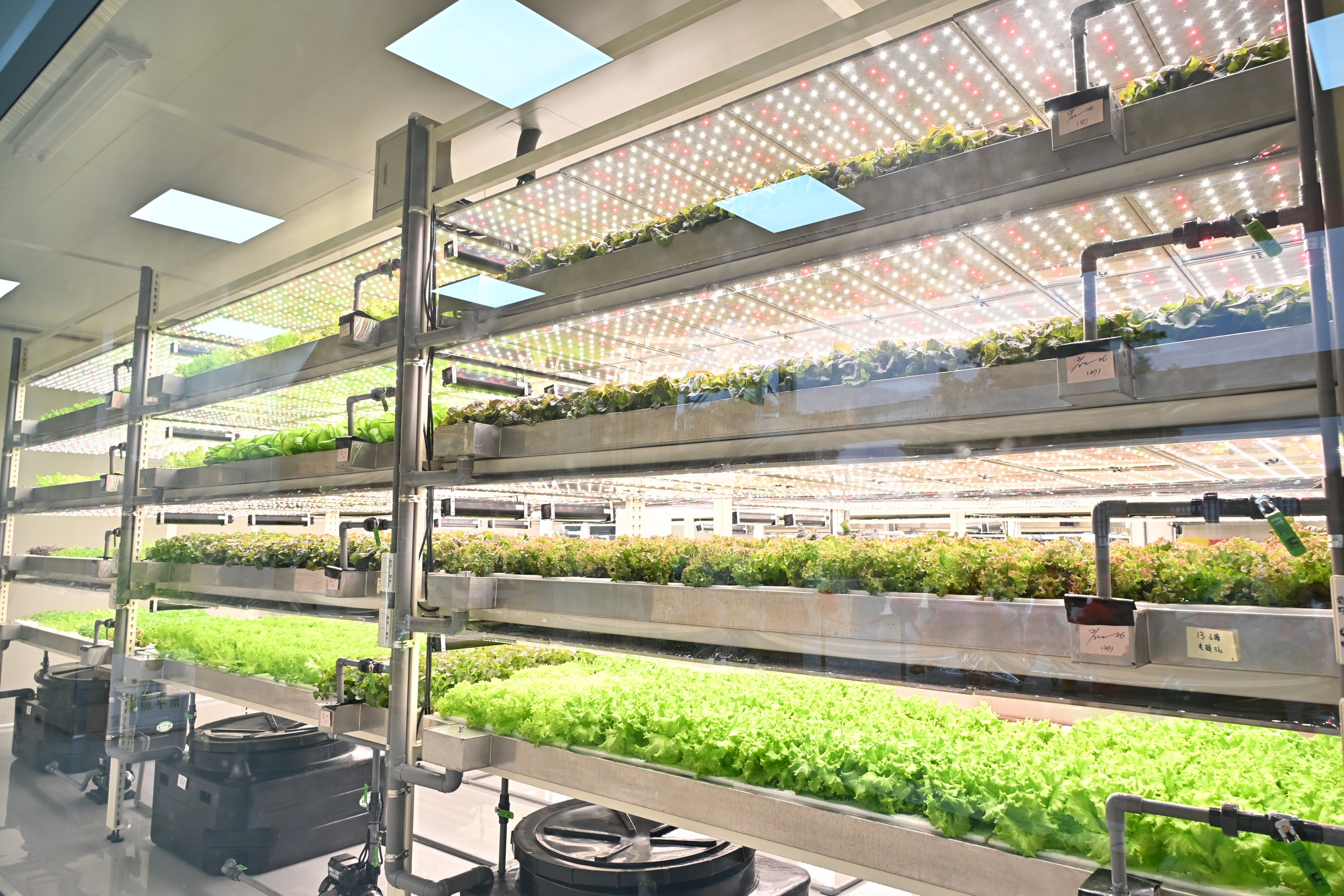 吃菜也能很科技！彰化首家全環控水耕農場亮相 - https://www.watchmedia01.com