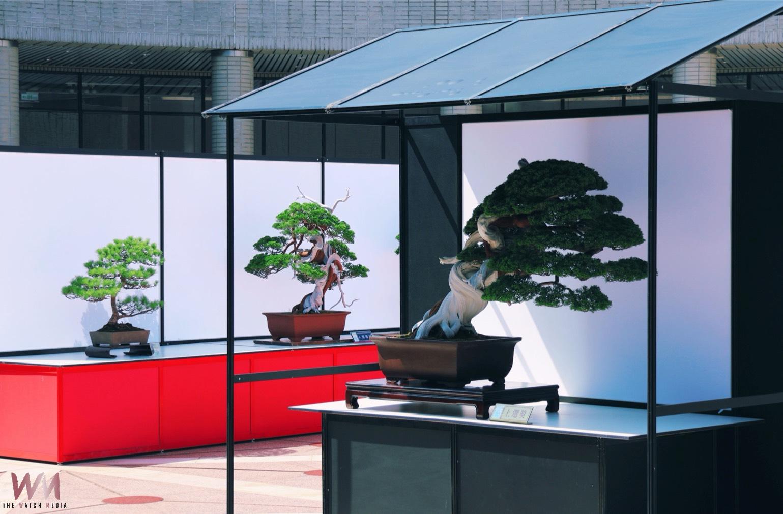 千姿百韻生命藝術 2026中華盆栽作風展科博館盛大登場 - https://www.watchmedia01.com