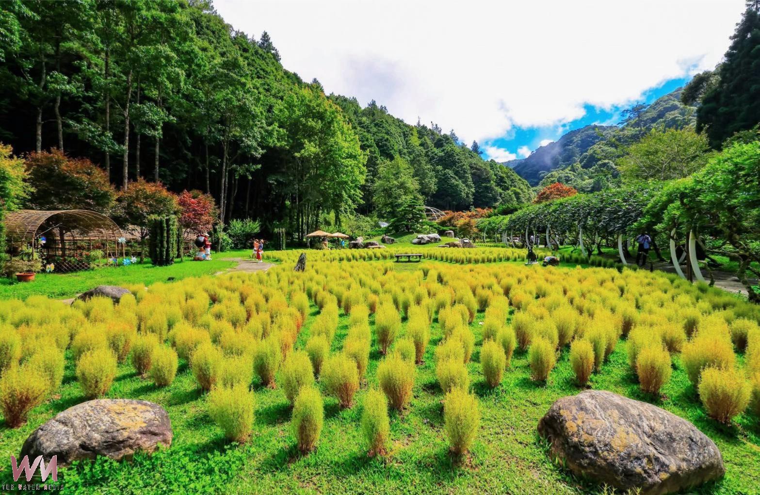 脫穎而出 參山處《Checking In! Central Taiwan》旅遊書勇奪PATA金獎 - https://www.watchmedia01.com