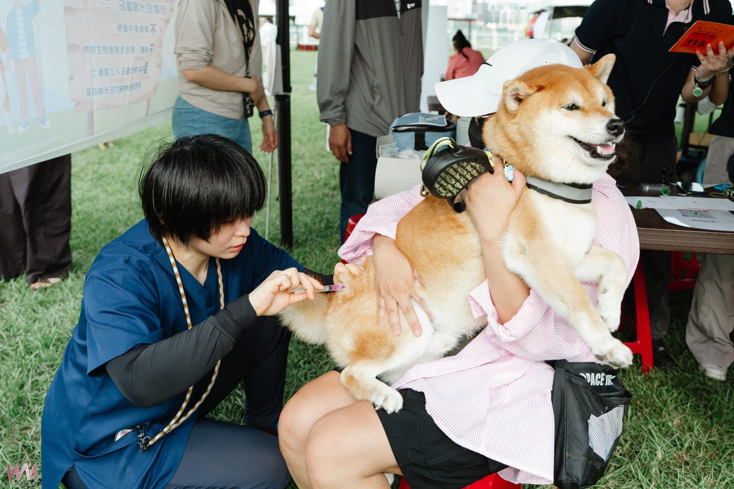 北市「毛孩健康同樂會」　攜寵同遊響應世界狂犬病日及世界動物日