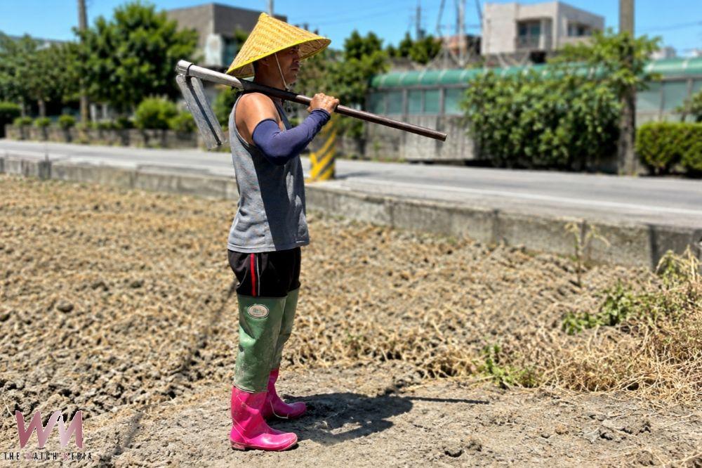 三重重新橋觀光市集10月9日「市集情意農」 農夫裝扮享限量蔬果1元購 - https://www.watchmedia01.com