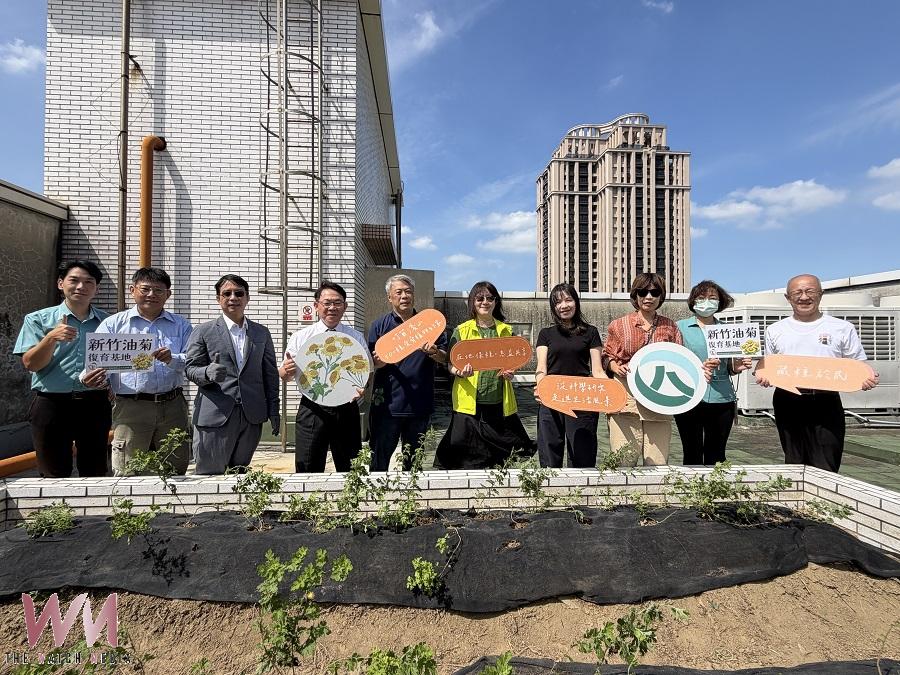 新竹郵局遇見「新竹油菊」     串聯郵政、保育與社區力量守護受威脅植物