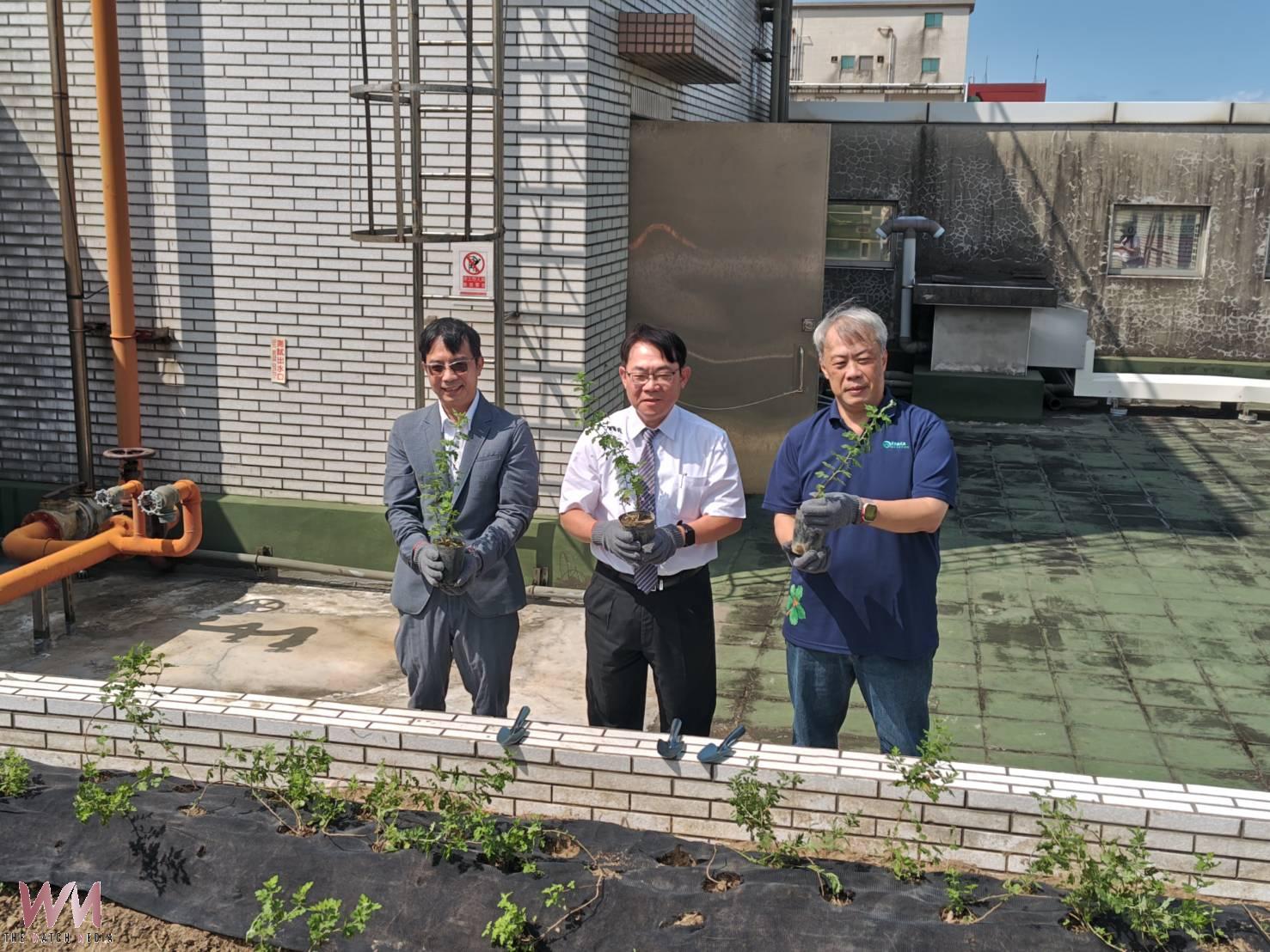 新竹郵局遇見「新竹油菊」 串聯郵政、保育與社區力量守護受威脅植物 - https://www.watchmedia01.com