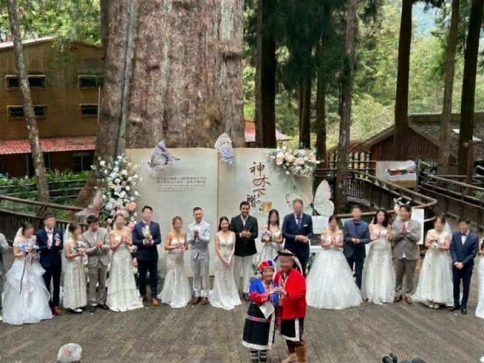 阿里山神木下婚禮20周年 幸福回家邀歷屆新人重返山林 - https://www.watchmedia01.com