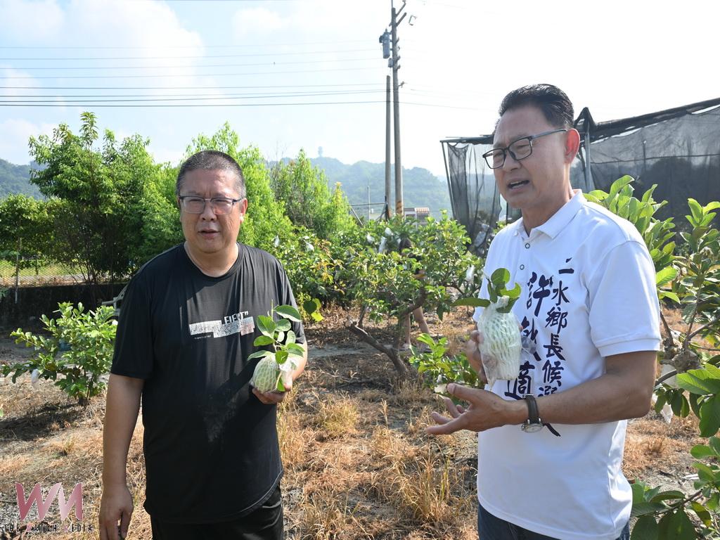 張家豐夫妻津翠芭樂摘下銀銅牌 許敏適堅信二水農業產業大有可為! - https://www.watchmedia01.com