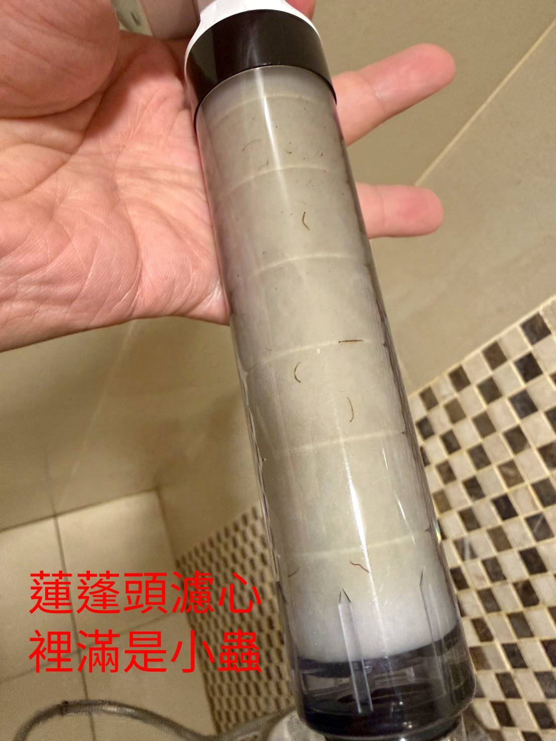 蓮蓬頭裡都是蟲!孩童洗澡皮膚紅腫 緊急清洗水塔檢測水質 - https://www.watchmedia01.com