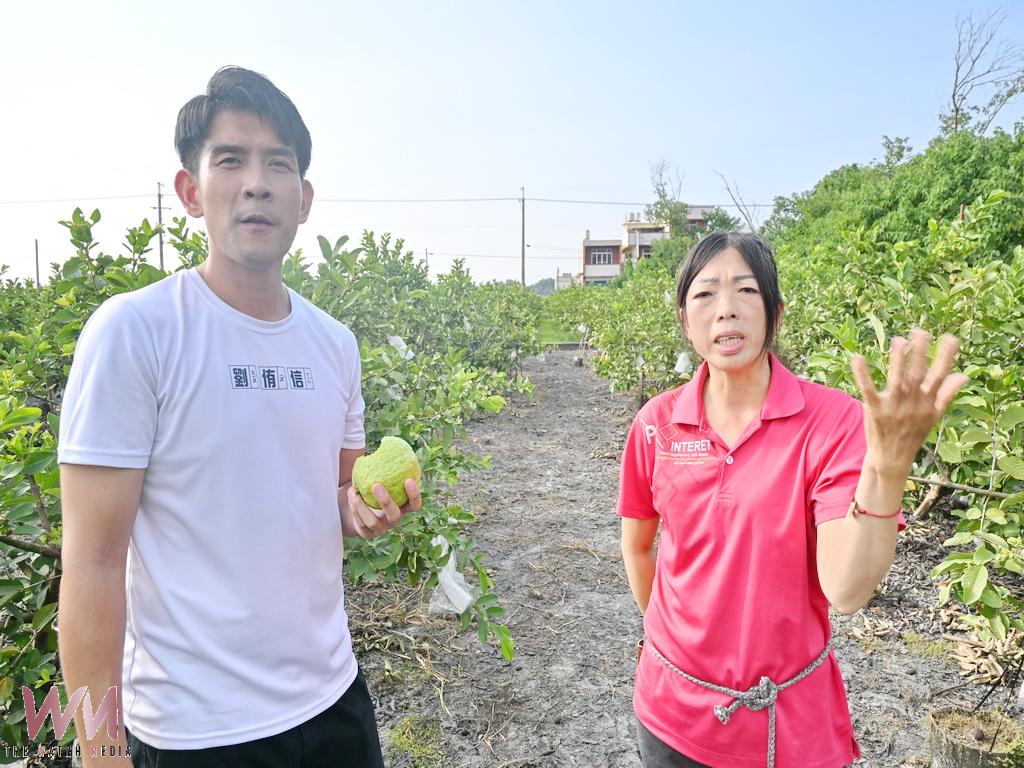 從曾虹蓁金牌芭樂看溪州農業未來 劉侑信盼產銷品牌一起升級! - https://www.watchmedia01.com
