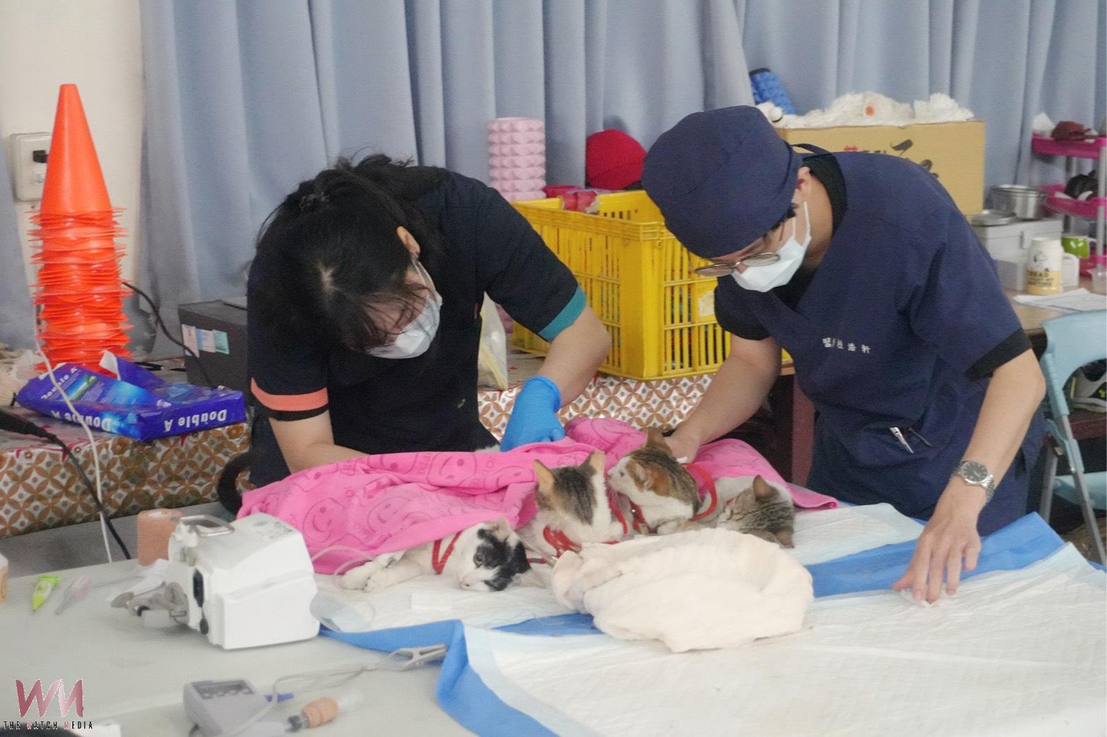 流浪動物絕育效益量化 興大評估每投入1元創造8.31元社會價值 - https://www.watchmedia01.com