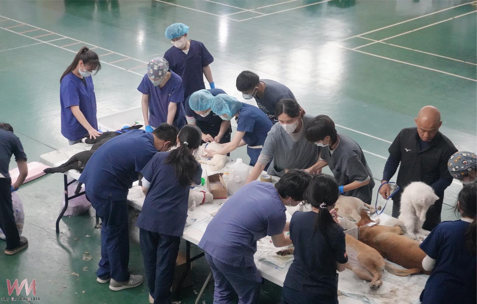 流浪動物絕育效益量化 興大評估每投入1元創造8.31元社會價值 - https://www.watchmedia01.com