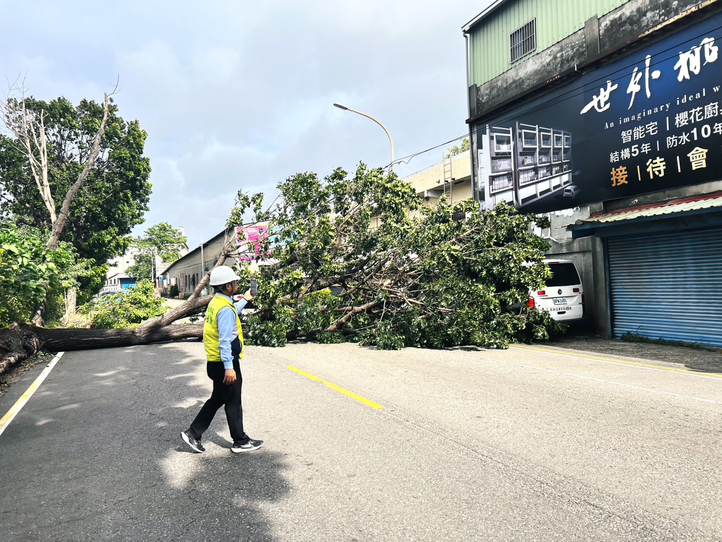 薔琵颱風狂吹!彰化6層樓高巨樹倒下 救護車遭殃 - https://www.watchmedia01.com