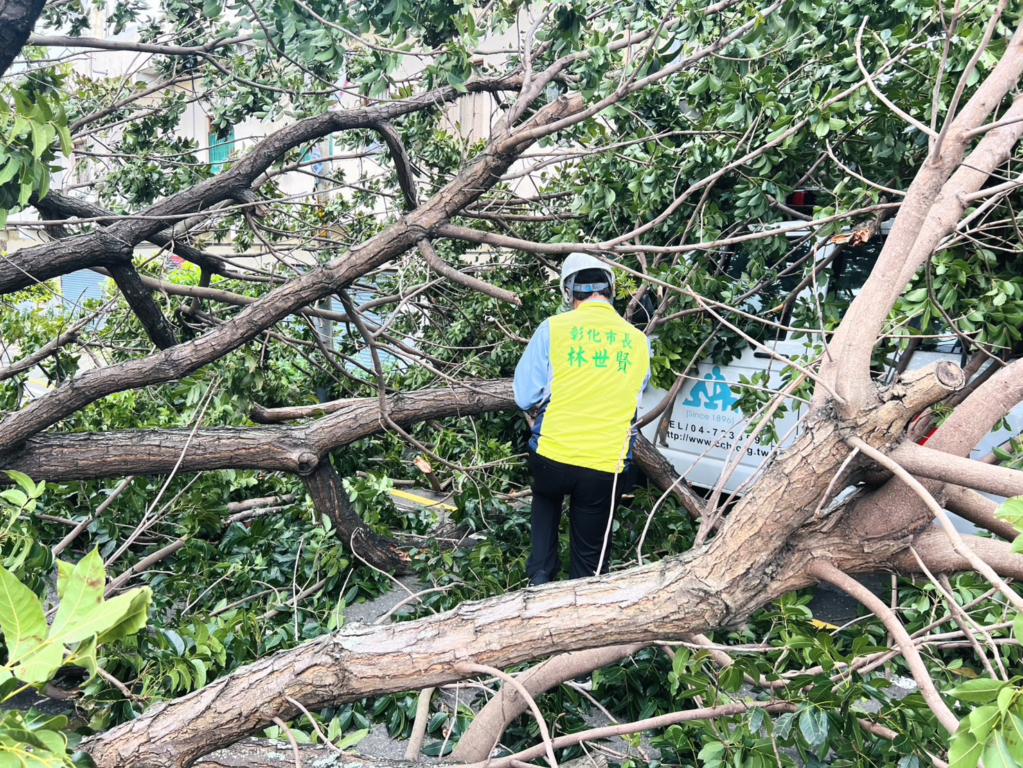 薔琵颱風狂吹!彰化6層樓高巨樹倒下 救護車遭殃 - https://www.watchmedia01.com