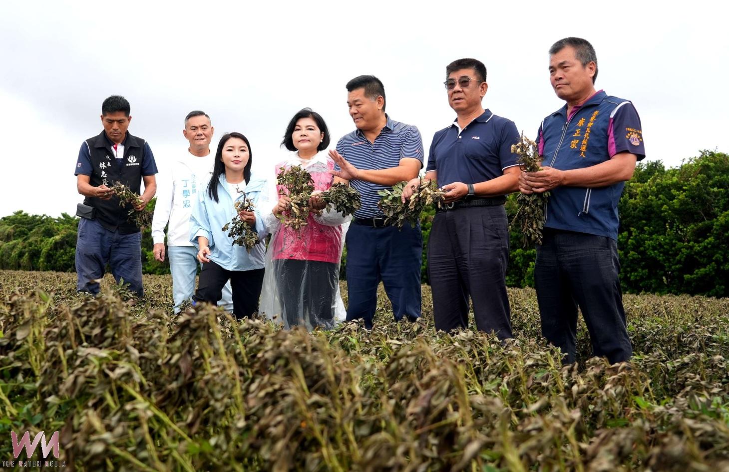 薔琵強風吹垮雲林農作！400多公頃受損　張麗善急爭全品項現金救助