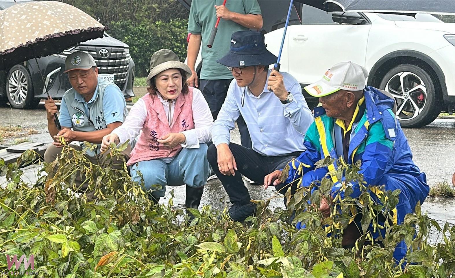 薔琵重創雲林農作!劉建國緊急會勘 農糧署承諾速報救助 - https://www.watchmedia01.com