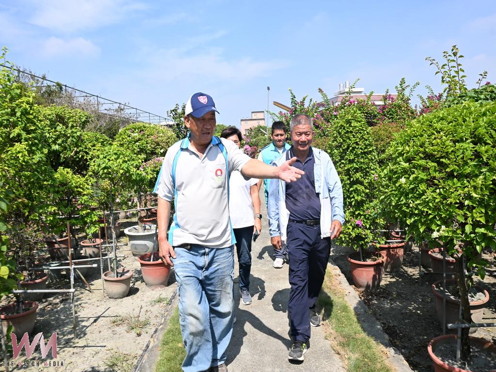 田尾花鄉再添新亮點 鄉長候選人劉美蘭提議打造11月九重葛花季!