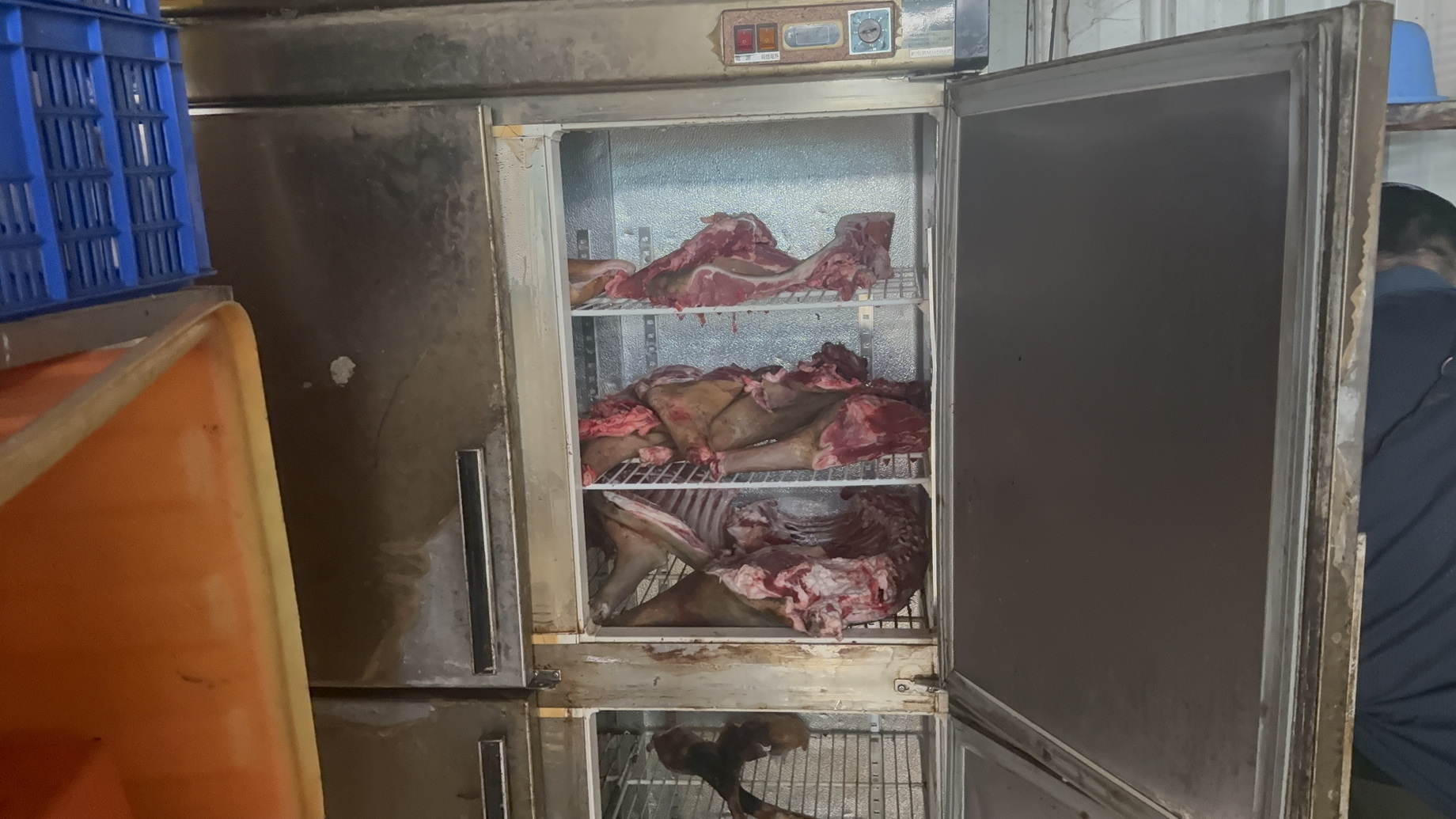 追查狗肉案意外破獲疑似非法屠宰場！鹿港查獲6座冷凍櫃