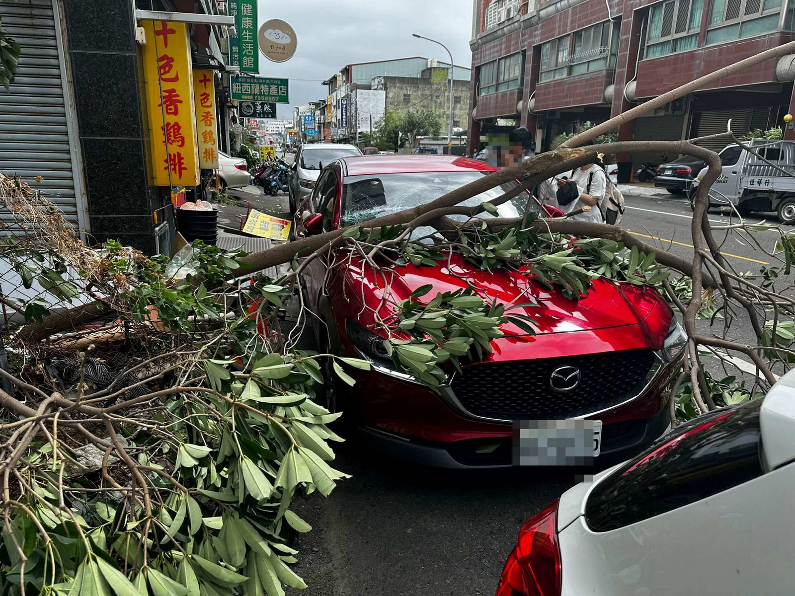 一場尿救一命！彰化男下車上廁所　愛車遭路樹砸爛