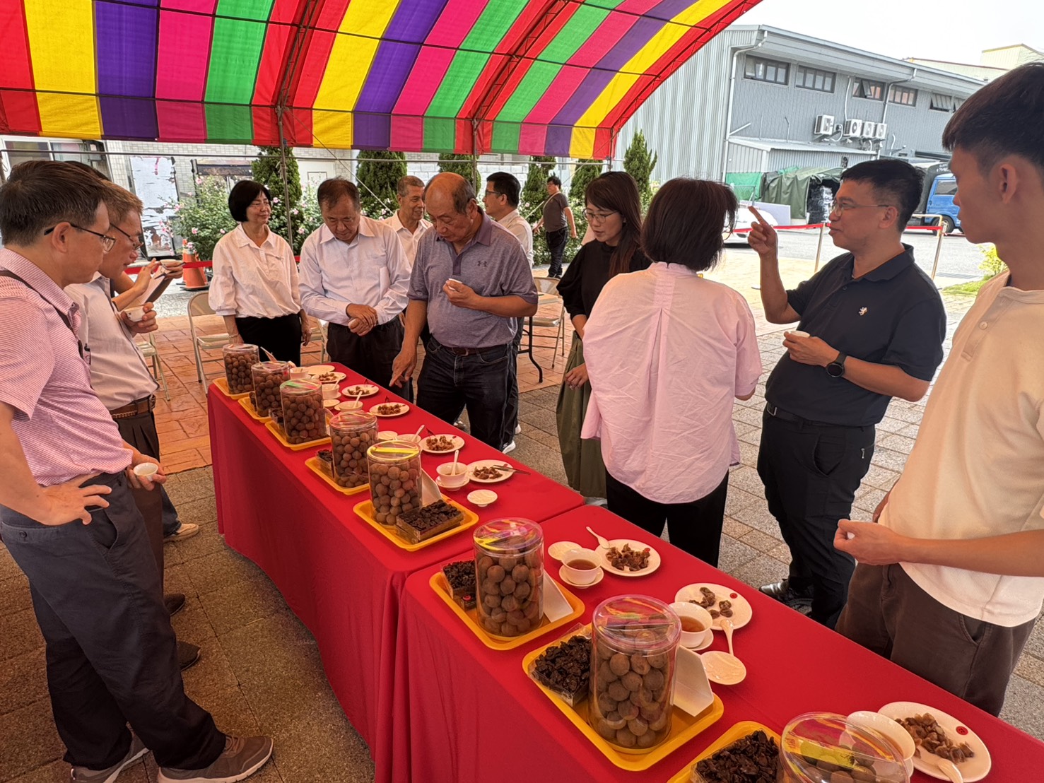 彰化桂圓評鑑出爐!53組農民拚品質 彰化市許柏霖奪冠 - https://www.watchmedia01.com