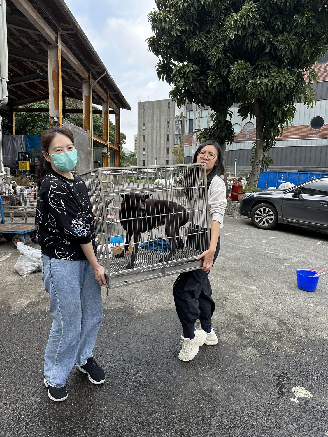 毛孩時代累計捐贈近2噸飼料!品牌創辦人盧胤勳分享投入動保公益初衷 - https://www.watchmedia01.com