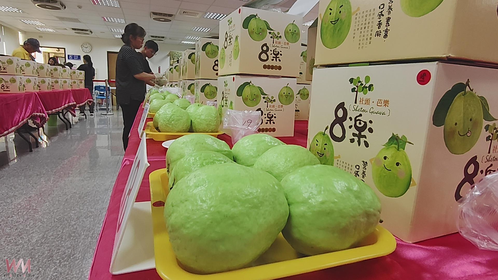 (有影片)/社頭芭樂評鑑出爐!今年首度檢測維生素C (有影片)/社頭芭樂評鑑出爐!今年首度檢測維生素C