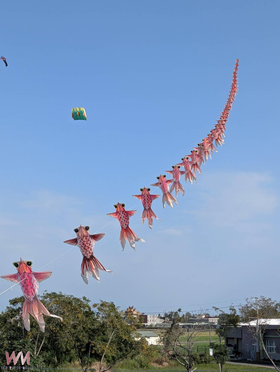 南笨港文化祭開幕　串聯在地特色推農村微旅行 - https://www.watchmedia01.com