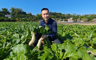 芬園鄉拔蘿蔔活動今年活動將擴大至2公頃的農地，並準備超過5萬根蘿蔔，讓民眾與遊客不僅可以體驗農村生活。（黃翊愷提供）