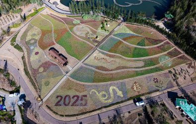 2025澎湖休憩園區花海