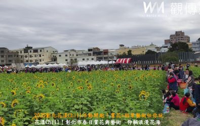 彰化市公所於彰草路的農田裡栽種了各式花卉，創造了超過8公頃的浪漫的花海，讓人感受到大自然的溫暖與美麗。。（記者陳雅芳攝）