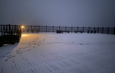 IMG_8798