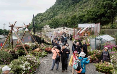 2025萬金杜鵑花展將於月底開展