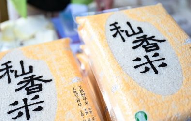 1140209-211平鎮區生產優質的稻米