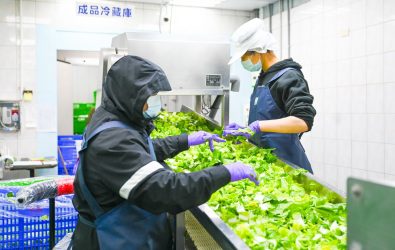 1140210-211-桃園市農會提供學校營養午餐安全優質食材。