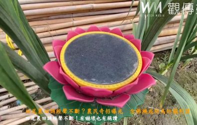 田尾鄉海豐村光榮巷兩旁農地，民眾路過時常聽到「南無阿彌陀佛」等誦經聲，讓人不禁背脊發涼，真相是念佛機成防鳥防竊奇招。（記者陳雅芳攝）
