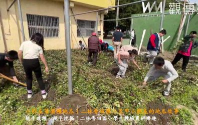 二林鎮香田國小五甲小朋友小朋友拿著小鏟子與鐮刀，到地瓜園尋寶挖地瓜，小朋友挖到自己親手種的地瓜，都覺得很開心也很有成就感。（記者陳雅芳攝）