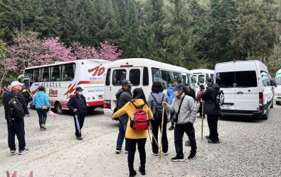 寒溪呢森林人文叡地賞花遊客絡繹不絕。（圖/讀者吳先生提供）