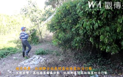 正值荔枝椿象越冬成蟲甦醒時間，社頭鄉公所安排人力進行藥物防制噴灑作業。（記者陳雅芳攝）