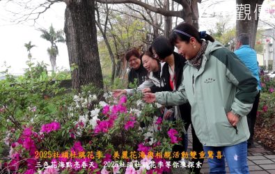 社頭鄉忠義路沿線近1公里長的杜鵑花正盛開著紅、白、粉三色杜鵑花，歡迎走訪這片美麗的花海，感受社頭的獨特魅力與活力。（記者陳雅芳攝）