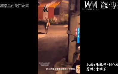 彰化市台鳳社區深夜驚現一隻水鹿悠哉地在逛大街。（翻攝黑色豪門企業）