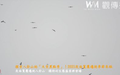 參山國家風景區管理處等單位宣布八卦山賞鷹季系列活動即將展開，預計將吸引更多人走進大自然，體驗這場獨特的生態盛宴。（記者陳雅芳攝）