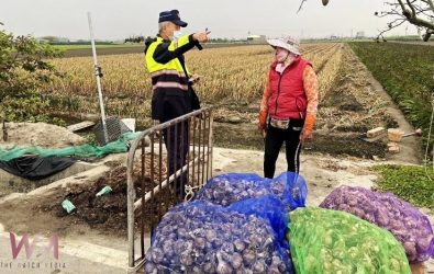 雲林大蒜的採收期，由於去年風災與大雨影響，今年大蒜產量略減，導致價格上揚，讓宵小覬覦。（圖／記者蘇榮泉翻攝）