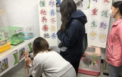 1140321-221桃園市動保處開放鸚鵡、天竺鼠、垂耳兔非犬貓特殊寵物認養。