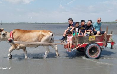 王功海牛文化基地位於彰化縣芳苑鄉，是彰化縣的首個無形文化資產產業基地。（魏清水老師提供 ）