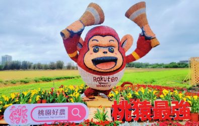 1140404-211彩色海芋季46閉幕不閉園 開放賞花多一周