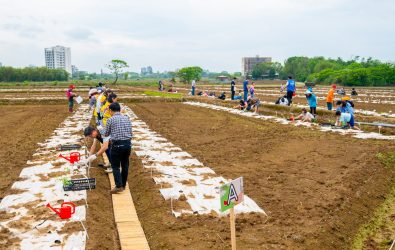 1140412-221溪海休閒農業區西瓜節 民眾體驗種瓜樂趣